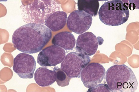 �^(gu��)������øȾɫҺ