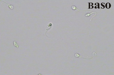 ���ӻ��w�z�y(c��)ԇ���У��͝B��Û����