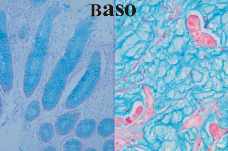 �����{(l��n)��PH2.5��ȾɫҺ