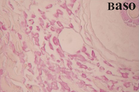 �ʴ�(x��)��ȾҺ��ȩƷ�t-���SG����